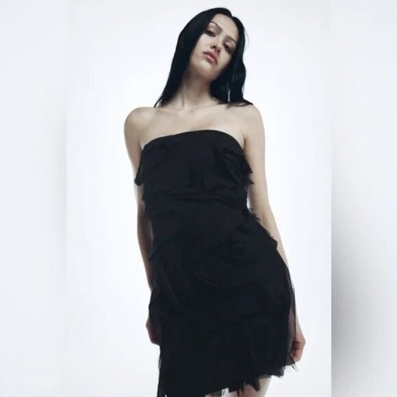 Zara Dresses & Skirts - ZARA - Tulle Black Mini Dress